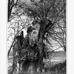 Am&ouml;neburger Becken