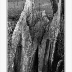 Park Rauischholzhausen