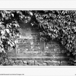 Bauernhof Am&ouml;neburg