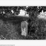 Am&ouml;neburger Becken