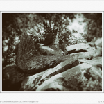 "Dicke Steine" Felsenmeer